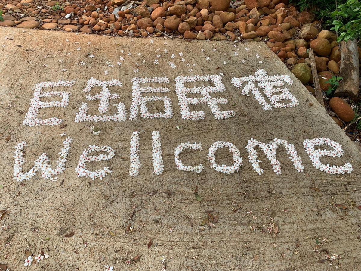 巨缿民宿巨象民宿 Sanyi Exteriör bild